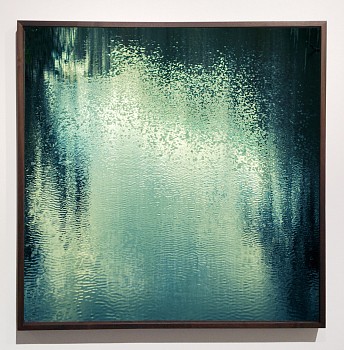 Work: Thomas Hager Deep Creek with Moss - 1, 1/10, 2016 archival pigment print 42.5 x 42 inches HAG578