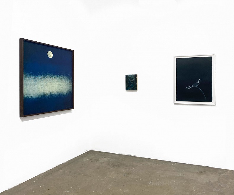Wait Till the Moon Is Full - Installation View