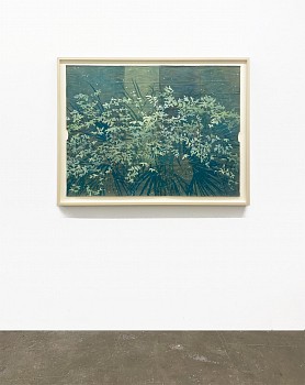 Maysey Craddock: Golden Hour&nbsp;