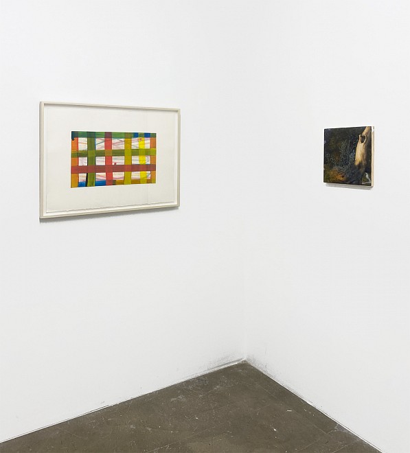 PROJECT ROOM: Summer Preview - Installation View