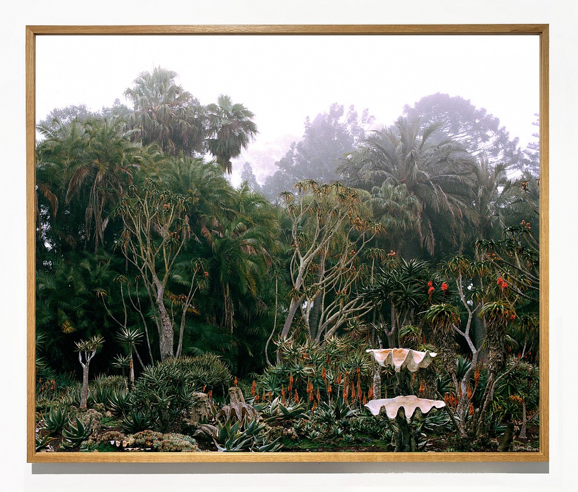 Jason Frank Rothenberg
Lotus Land, 2023
JFR025
archival pigment print, 42 x 50 inches