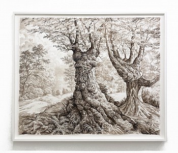 Work:&nbsp;Rick Shaefer Two Old Maples in a Clearing, 2020 pencil and ink on Yupo paper 59 x 70 inches shaef078