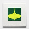 Isabel Bigelow, green top
2013, monoprint