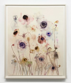 Work:&nbsp;Anemones, Lotus and Axolotl, 2023 ink, watercolor and pencil on paper 55 x 43 inches / 59 1/2 x 47 3/4 inches framed SANCH1002