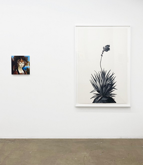 Fall Preview - Installation View