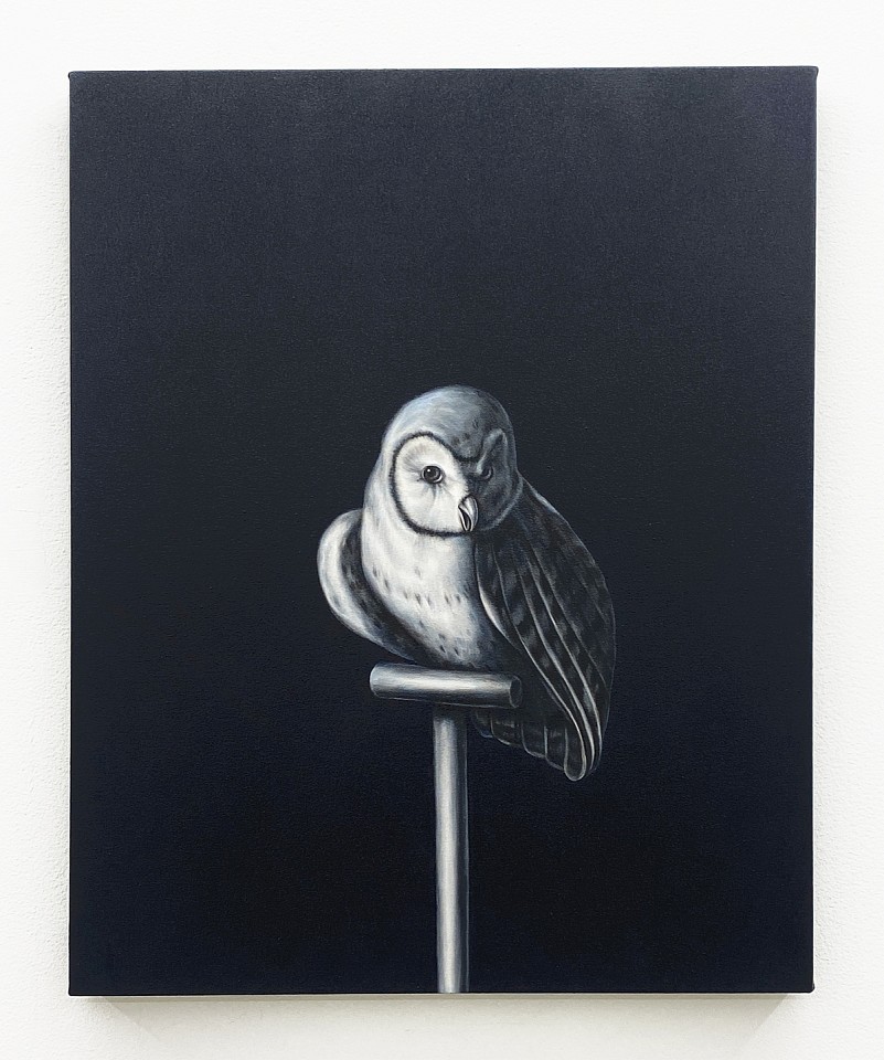 Shelley Reed
Owl (after Hondecoeter), 2023
REE282
oil on canvas, 30 x 24 inches