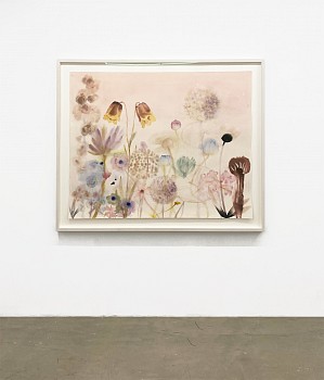 Lourdes Sanchez, I didn't know if I was above water or below, I only knew every living being was singing 