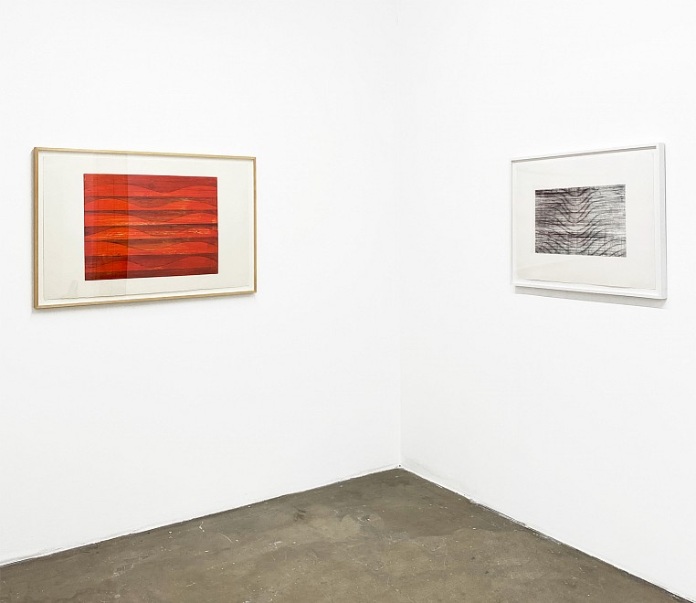 PROJECT ROOM: Don Maynard - Installation View