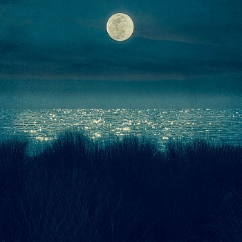 Thomas Hager (LA) -&nbsp;Moonlight Sonata in Blue, 1/10, 2020 archival pigment print 42.5 x 42 inches HAG651b