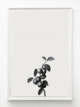 Work:&nbsp;Shelley Reed Branch, 2023 oil on paper 60 x 40 inches / 64 1/2 x 44 1/4 inches framed REE256