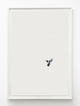 Work:&nbsp;Shelley Reed Hummingbird 28, 2023 oil on paper 60 x 40 inches / 64 1/2 x 44 1/4 inches framed REE263