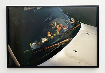 Tyler Haughey - Peaks Island, ME archival pigment print 30 x 45 inches / 31 x 46 inches framed HAUGH042