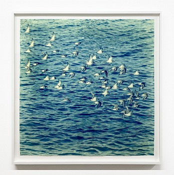 Thomas Hager -&nbsp;Water Flight, 2024 archival pigment print 42 1/2 x 42 inches HAG685