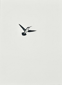 Shelley Reed (LA) -&nbsp;May 21, 2024 oil on paper 30 x 22 1/2 inches ree309