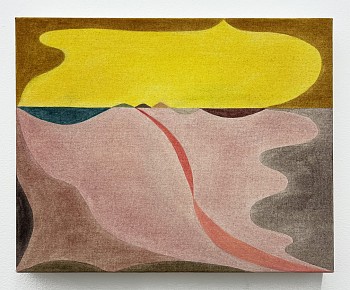 Work:&nbsp;Story, 2024 pigment on canvas 16 x 20 inches BEG089