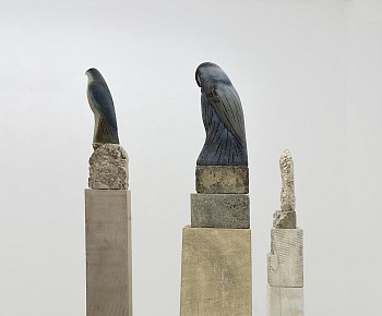 Jane Rosen, New Studies&nbsp;