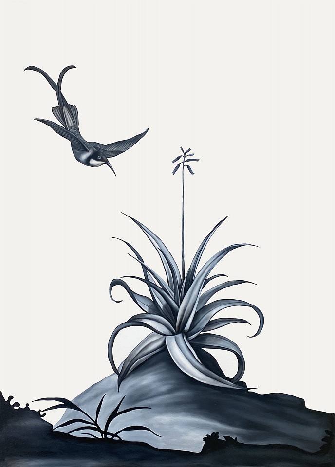 Shelley Reed
Small Aloe, 2024
REE326
oil on paper, 41 1/2 x 29 1/2 inches