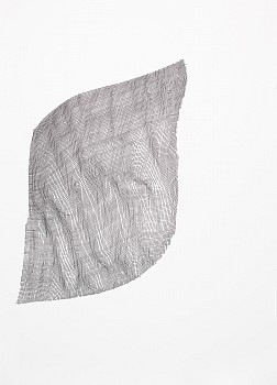 Karin Schaefer (LA) -&nbsp;Material Fact, 2024 ink on paper 38 x 28 inches SCHAE142