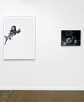 Dallas Art Fair 2025&nbsp;