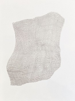 Karin Schaefer (LA) -&nbsp;Evince, 2024 ink on paper 30 x 22 inches SCHAE147