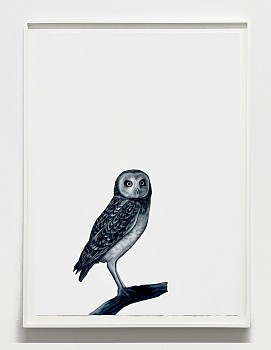 Work: Poised, 2025 oil on paper 41 1/2 x 29 1/2 inches / 45 x 34 inches framed ree331