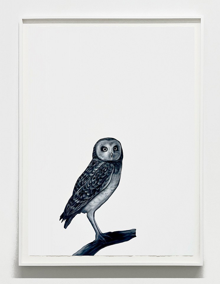 Shelley Reed
Poised, 2025
ree331
oil on paper, 41 1/2 x 29 1/2 inches / 45 x 34 inches framed