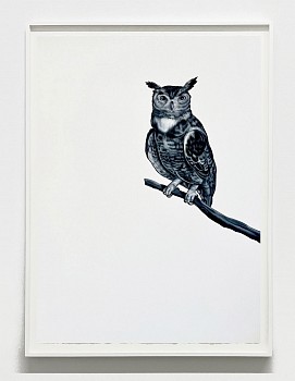 Shelley Reed -&nbsp;Gaze (after Vignaud), 2025 oil on paper 41 1/2 x 29 1/2 inches ree330