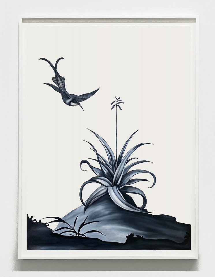 Shelley Reed
Small Aloe, 2024
REE326
oil on paper, 41 1/2 x 29 1/2 inches / 45 x 34 inches framed