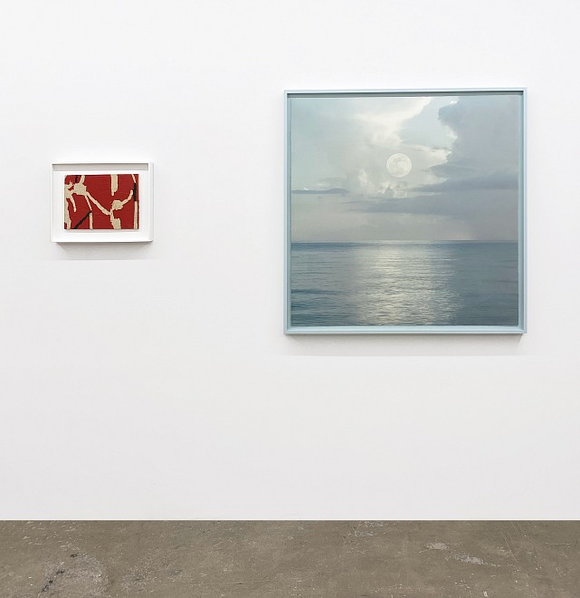 Surface Envy - Installation View