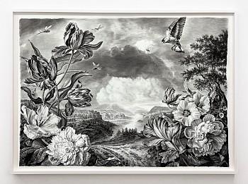 Work: Rick Shaefer Three Dragonflies, 2025 charcoal on vellum 50 x 65 inches shaef128