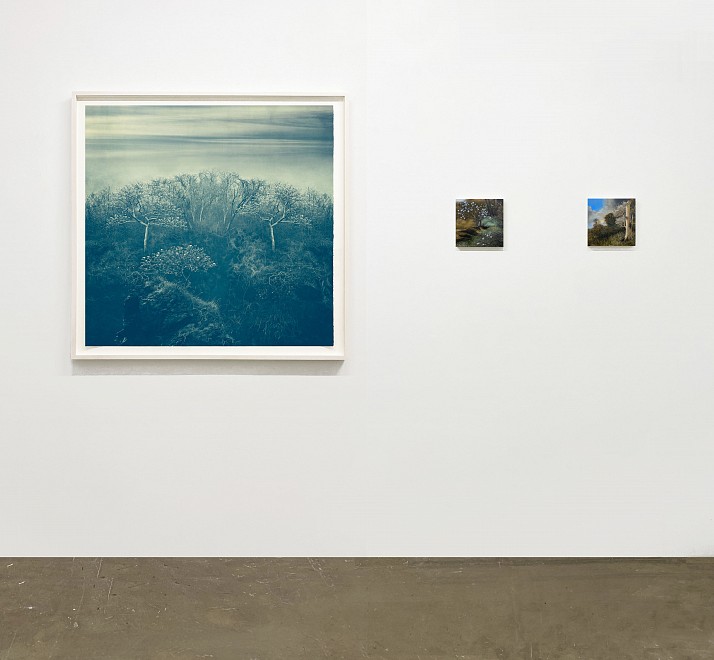 Far Afield  - Installation View