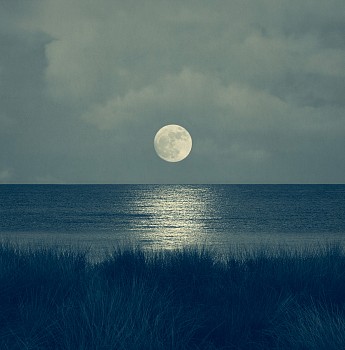 Thomas Hager -&nbsp;Night Blues Moonlight, 2025 archival pigment print 42 1/2 x 42 inches HAG707