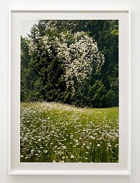 Susanna Howe Biography