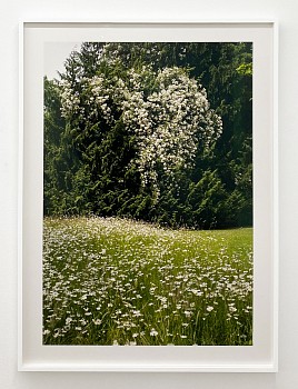 Exhibition: Summer Essentials,&nbsp;Susanna Howe