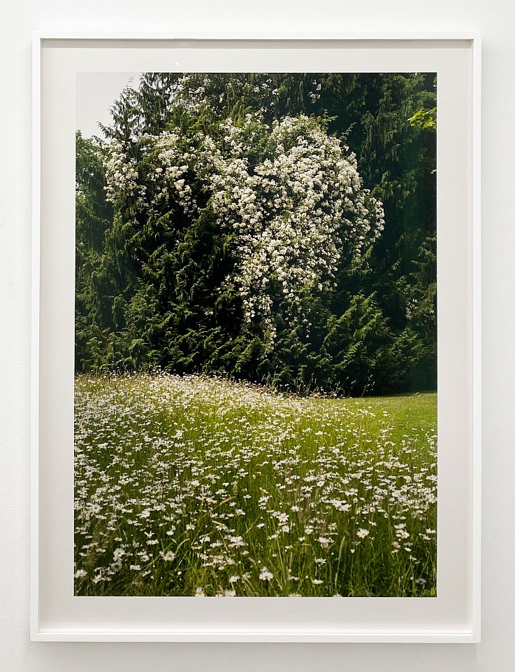 Susanna Howe
Brampton Bryan, 2025
HOWE014
c-print, Brampton Bryan, 2025    Edition of 9  c-print 39 ½ x 26 ½ inches image /  44 ¾ x 31 ¾ inches print /  45 ¾ x 32 ¾ inches framed
1/9