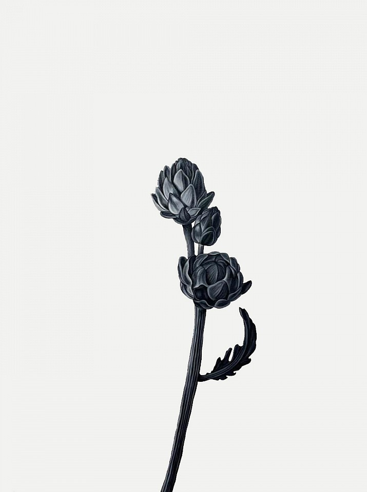 Shelley Reed
Ripe (after Snyders), 2026
ree367
oil on paper, 41 1/2 x 29 1/2 inches