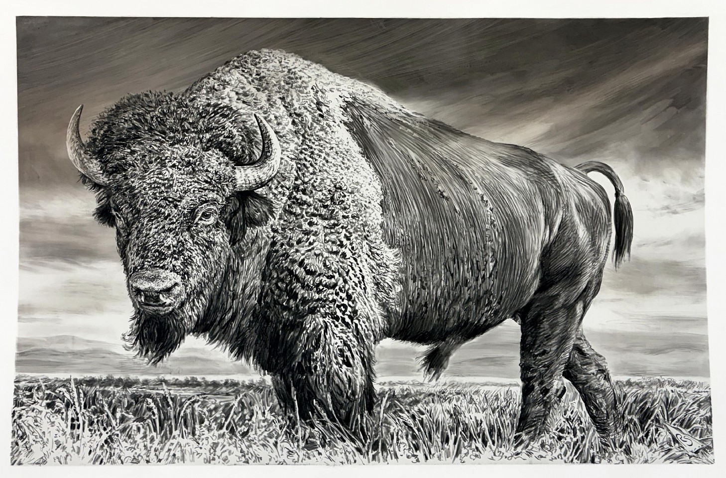 Rick Shaefer
Untitled (Bison XV), 2025
shaef130
charcoal on vellum, 45 x 65 inches
