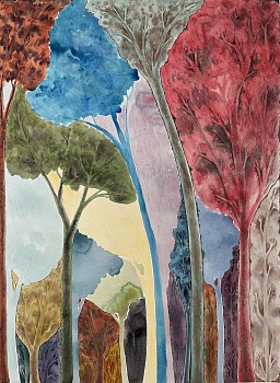 Los Angeles:&nbsp;Bryan Rogers (LA)