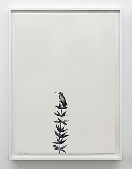 Work:&nbsp;Shelley Reed Scout, 2026 oil on paper 41 1/2 x 29 1/2 inches / 45 x 34 inches framed ree369