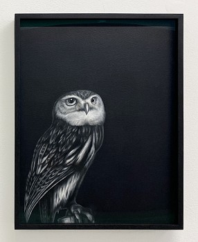 Work:&nbsp;Shelley Reed Tawny Owl (after Rankin), 2026 oil on paper 16 x 12 inches / 16 1/2 x 12 1/2 inches framed ree374