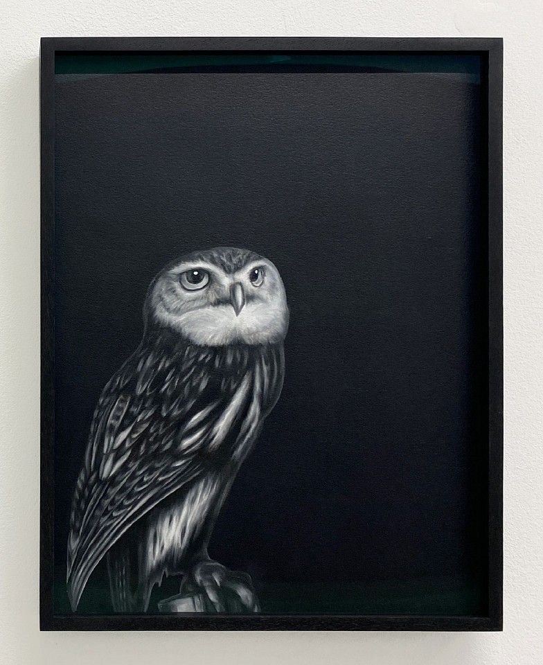 Shelley Reed
Tawny Owl (after Rankin), 2026
ree374
oil on paper, 16 x 12 inches / 16 1/2 x 12 1/2 inches framed