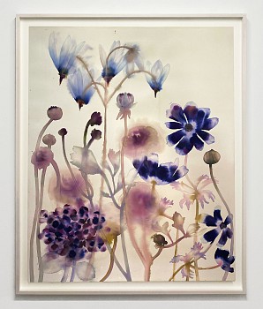 Lourdes Sanchez -&nbsp;Anemone, Ranunculus, Hydrangea and Mountain Shooting Star, 2026 ink, watercolor and pencil on paper 55 x 43 inches SANCH1084
