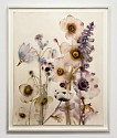 Lourdes Sanchez, mountain shooting star, anemone, foxglove
2025, ink, watercolor and pencil on paper