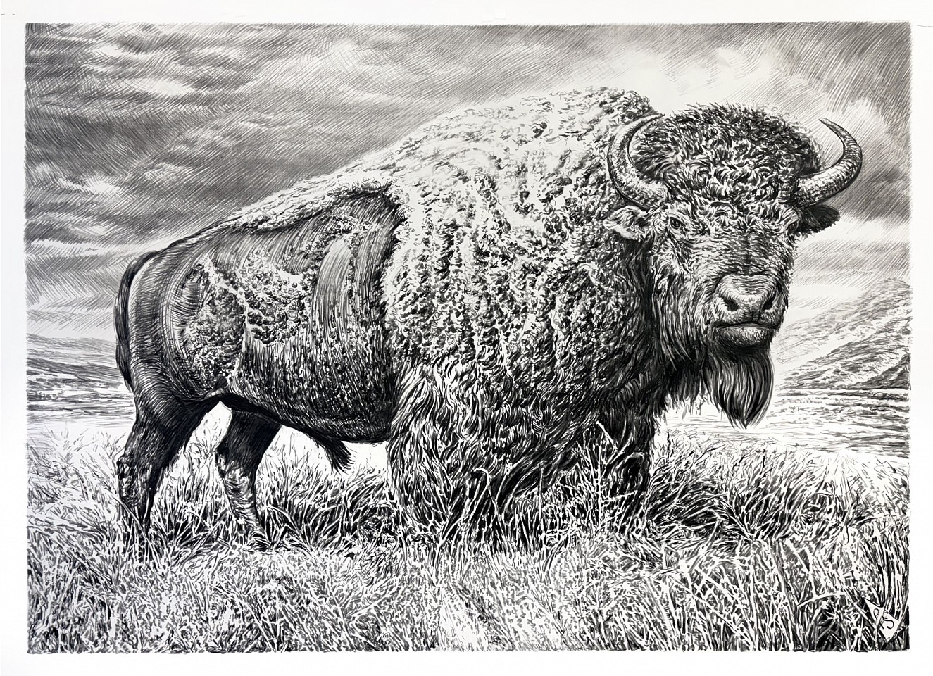 Rick Shaefer
Bison XVI, 2026
shaef132
charcoal on vellum, 42 x 60 inches