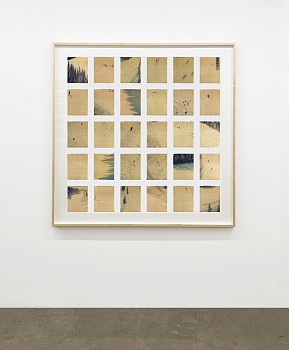 Work:&nbsp;Aspen Ajax #1, edition of 19, 1996 K-3 pigment print 61.5 X 60 inches HUGG427