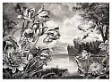Rick Shaefer, Tulips, Parrot, and Dragonfly
2026, charcoal on vellum