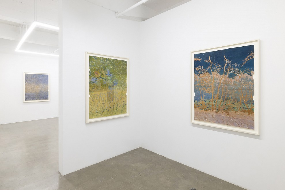 Maysey Craddock: to the heart of the woods - Installation View