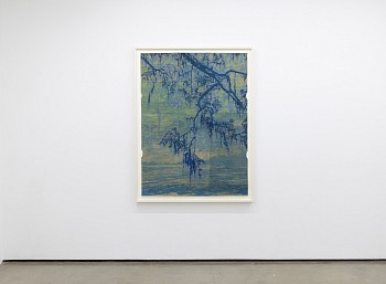 Maysey Craddock: to the heart of the woods&nbsp;