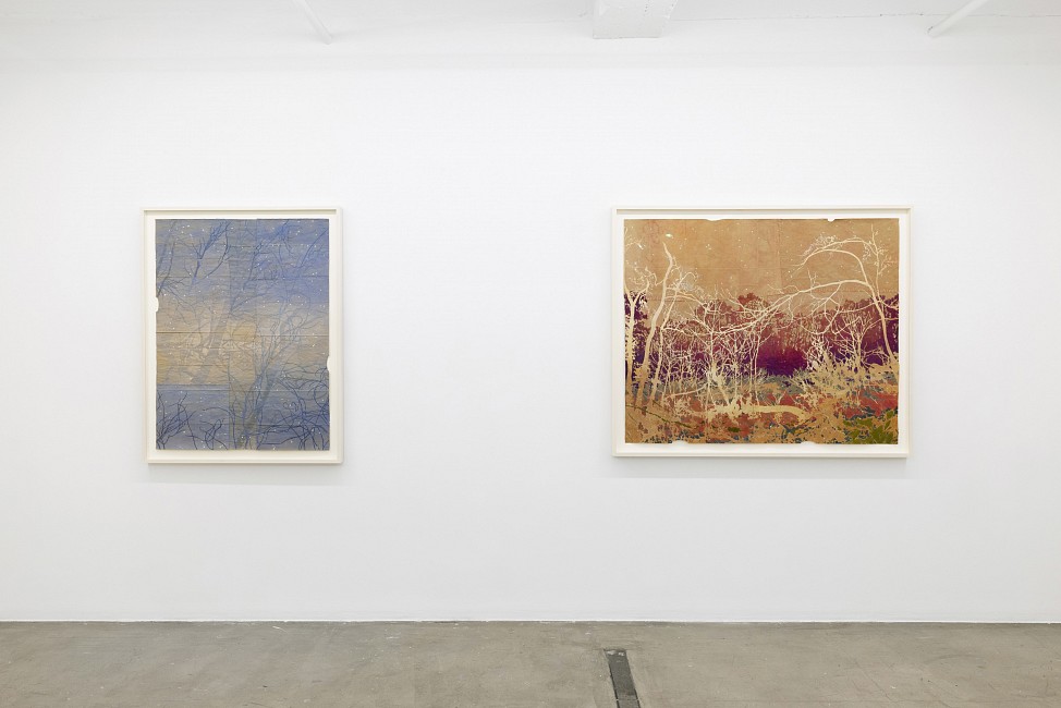 Current Exhibition: Maysey Craddock: to the heart of the woods Sep 10 - Oct 17, 2026